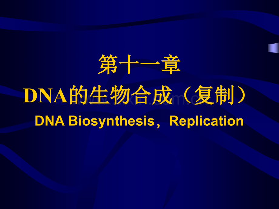 基因信息的传递（生物化学与分子生物学教研室）.ppt_第3页