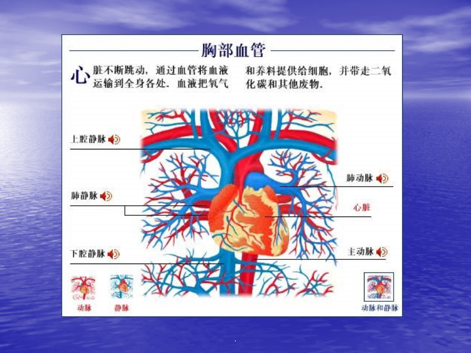 心脑血管疾病的预防和保健.ppt_第2页