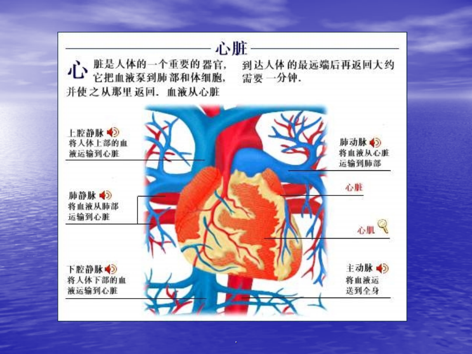 心脑血管疾病的预防和保健.ppt_第3页