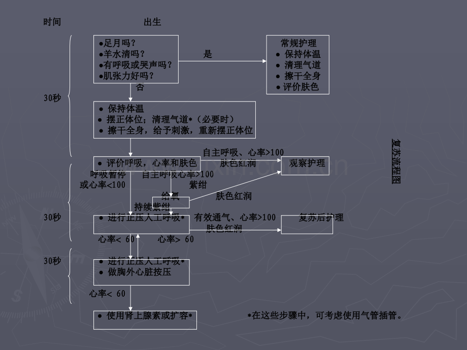 新生儿心肺复苏课件幻灯片.pptx_第3页