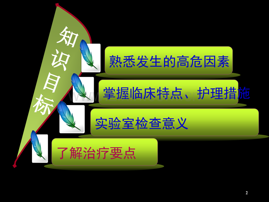 原发性肝癌患者的护理.ppt_第2页