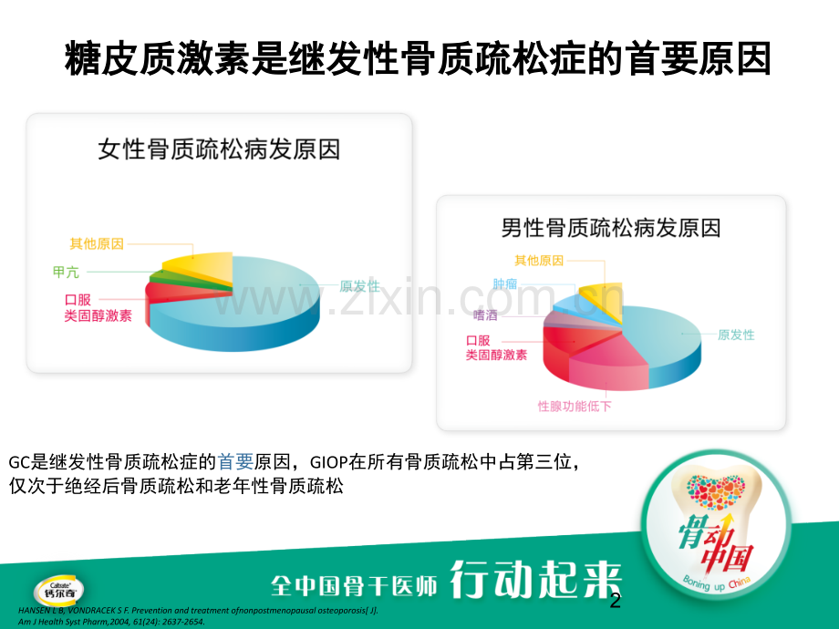 关注糖皮质激素引起的骨质疏松.ppt_第2页