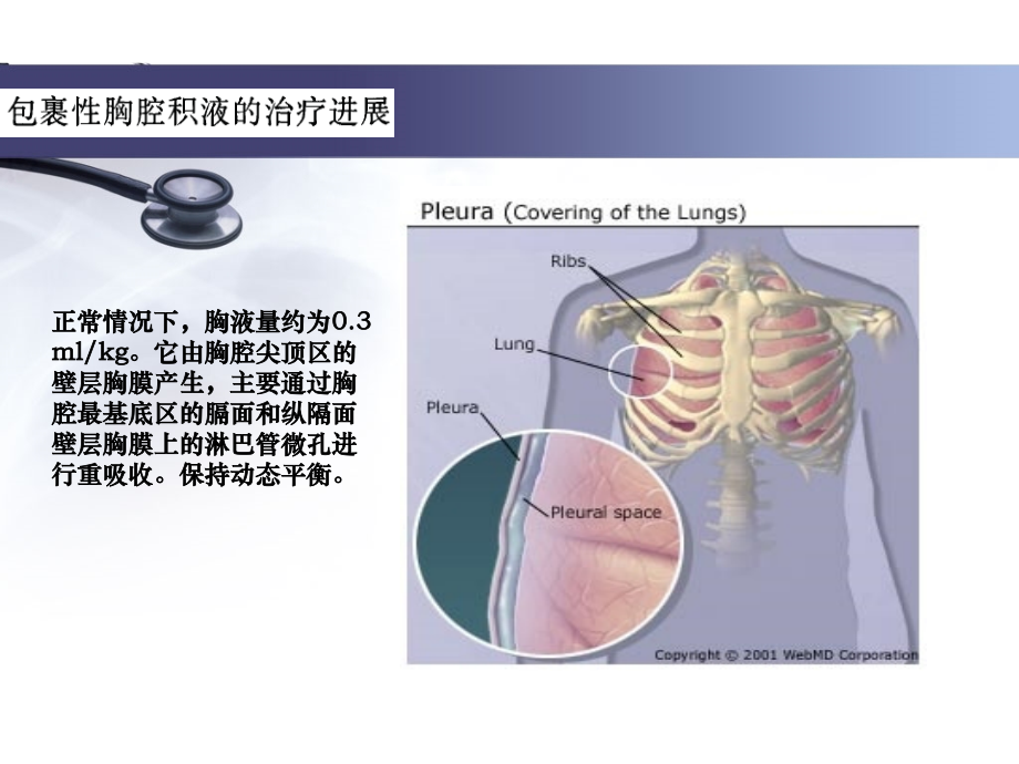 包裹性胸腔积液的治疗进展.ppt_第3页