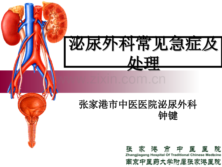 泌尿外科常见急症及处理要点ppt课件.ppt_第1页