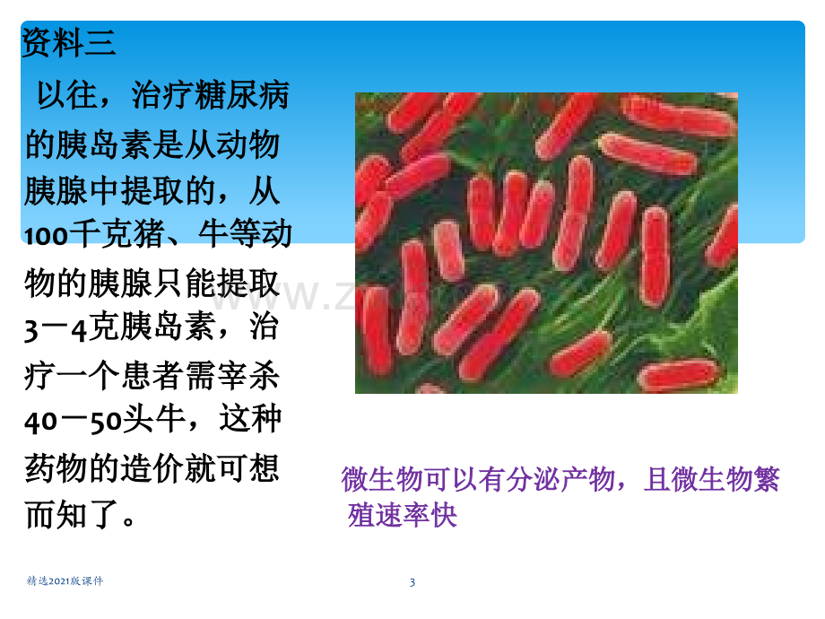 《基因工程及其应用》.ppt_第3页