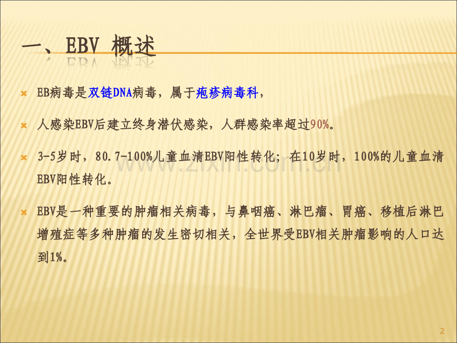 EB病毒感染.ppt_第2页