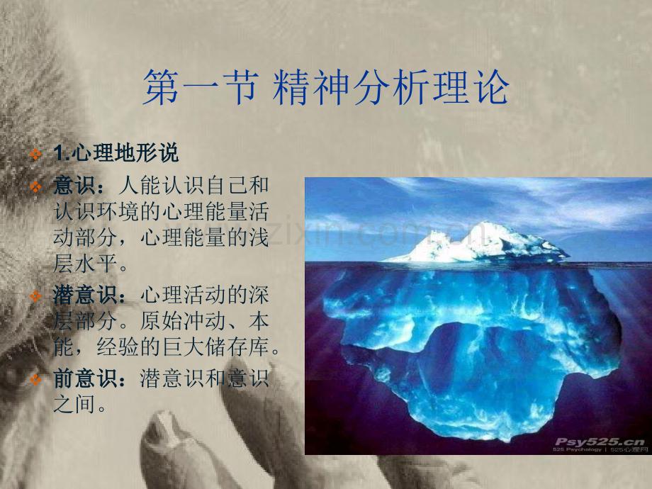 第二章儿童发展心理学基本理论.ppt_第2页