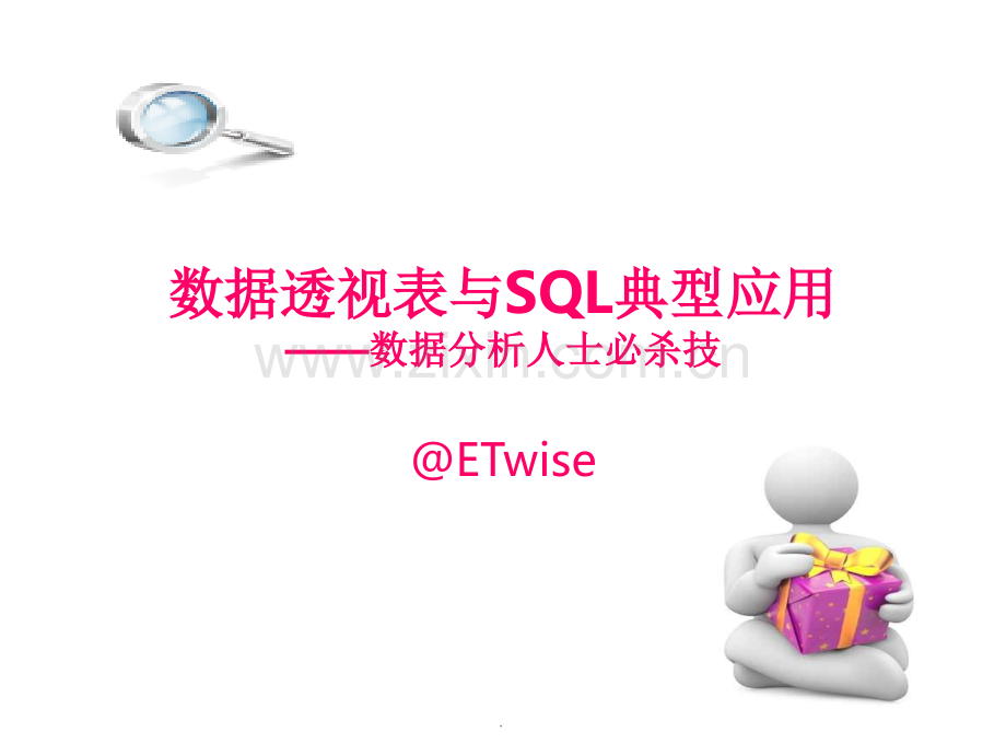 Excel数据透视表与SQL典型应用.ppt_第1页