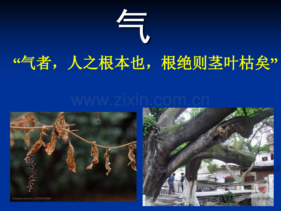 气血津液(2)详解.ppt_第3页