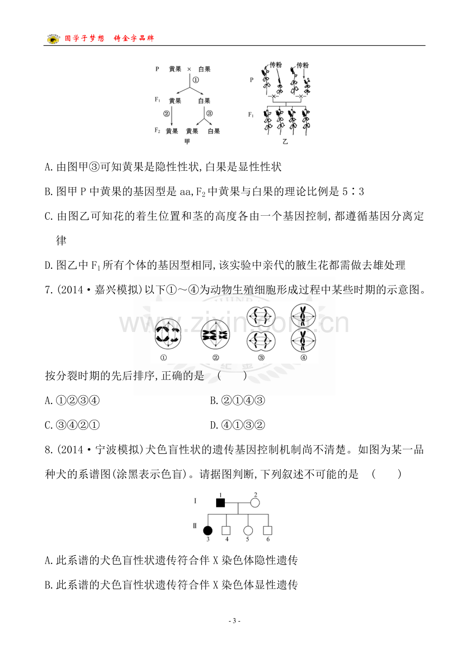 单元评估检测(五).doc_第3页