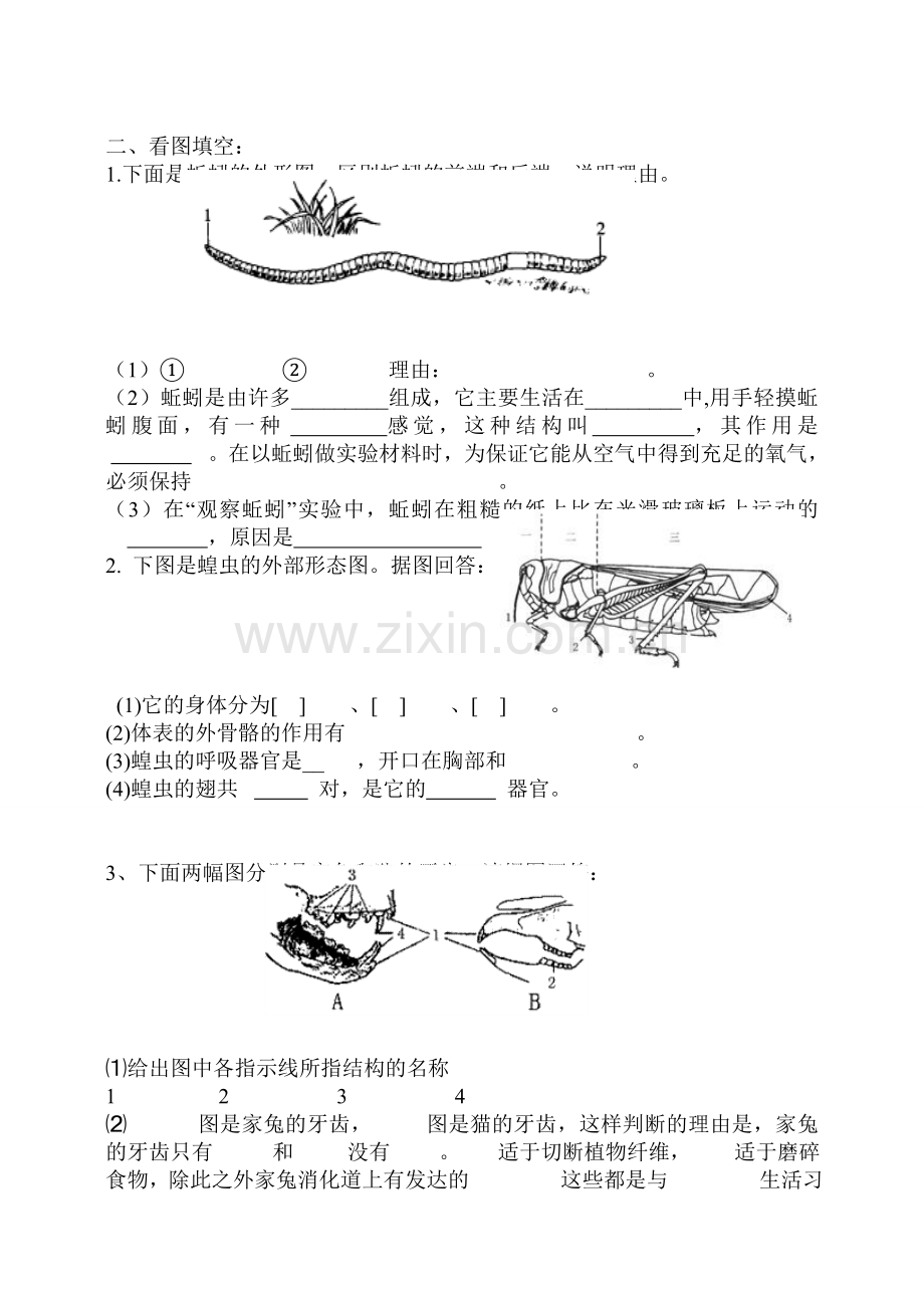 八年级生物上册第五单元第一章各种环境中的动物练习题_文档.doc_第3页