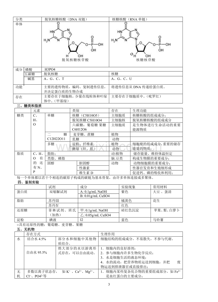 高中生物必修一、必修二、必修三知识点总结（人教版）.doc_第3页