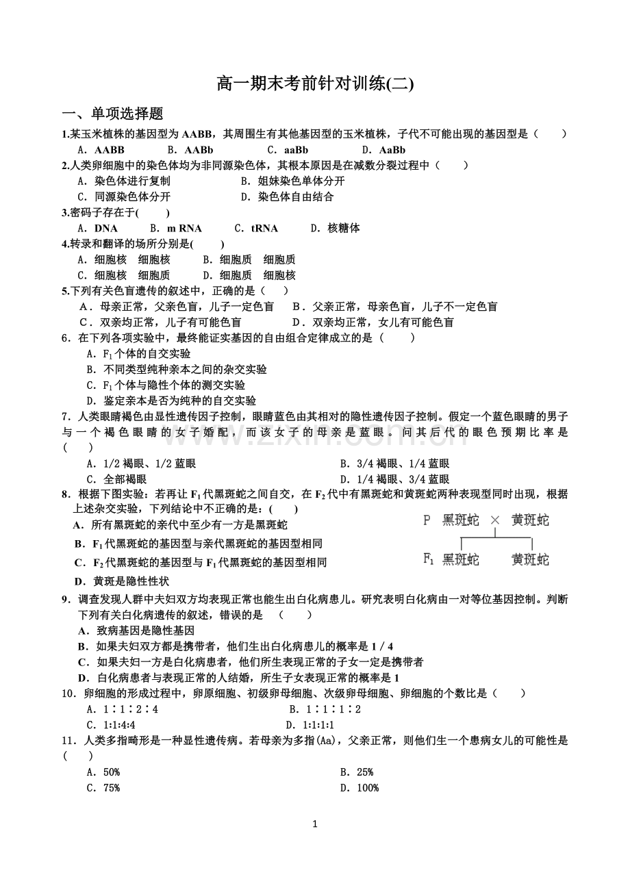 高一期末模拟卷.doc_第1页