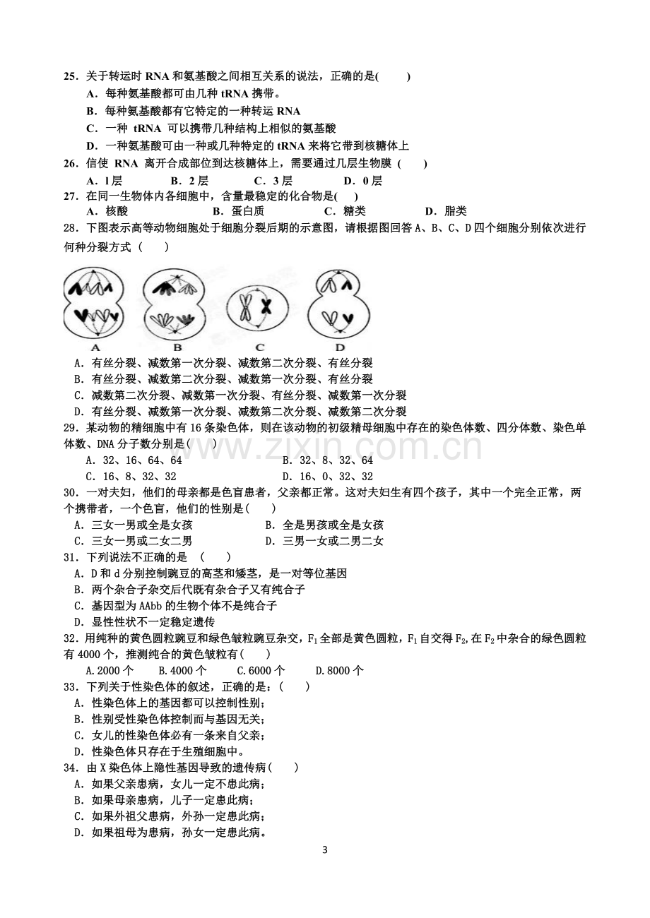 高一期末模拟卷.doc_第3页