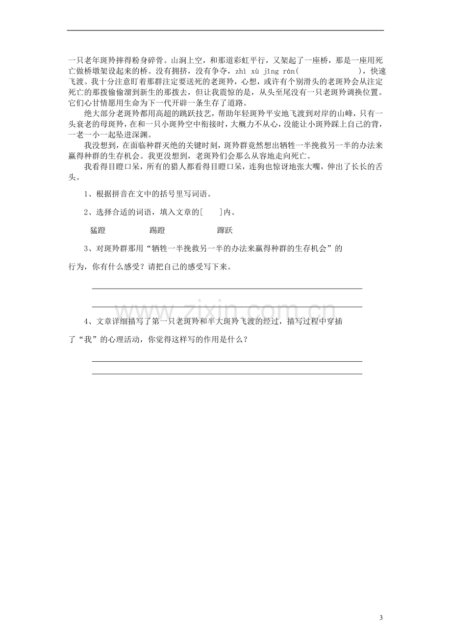 六年级语文上册最后一头战象练习（无答案）人教新课标版.doc_第3页