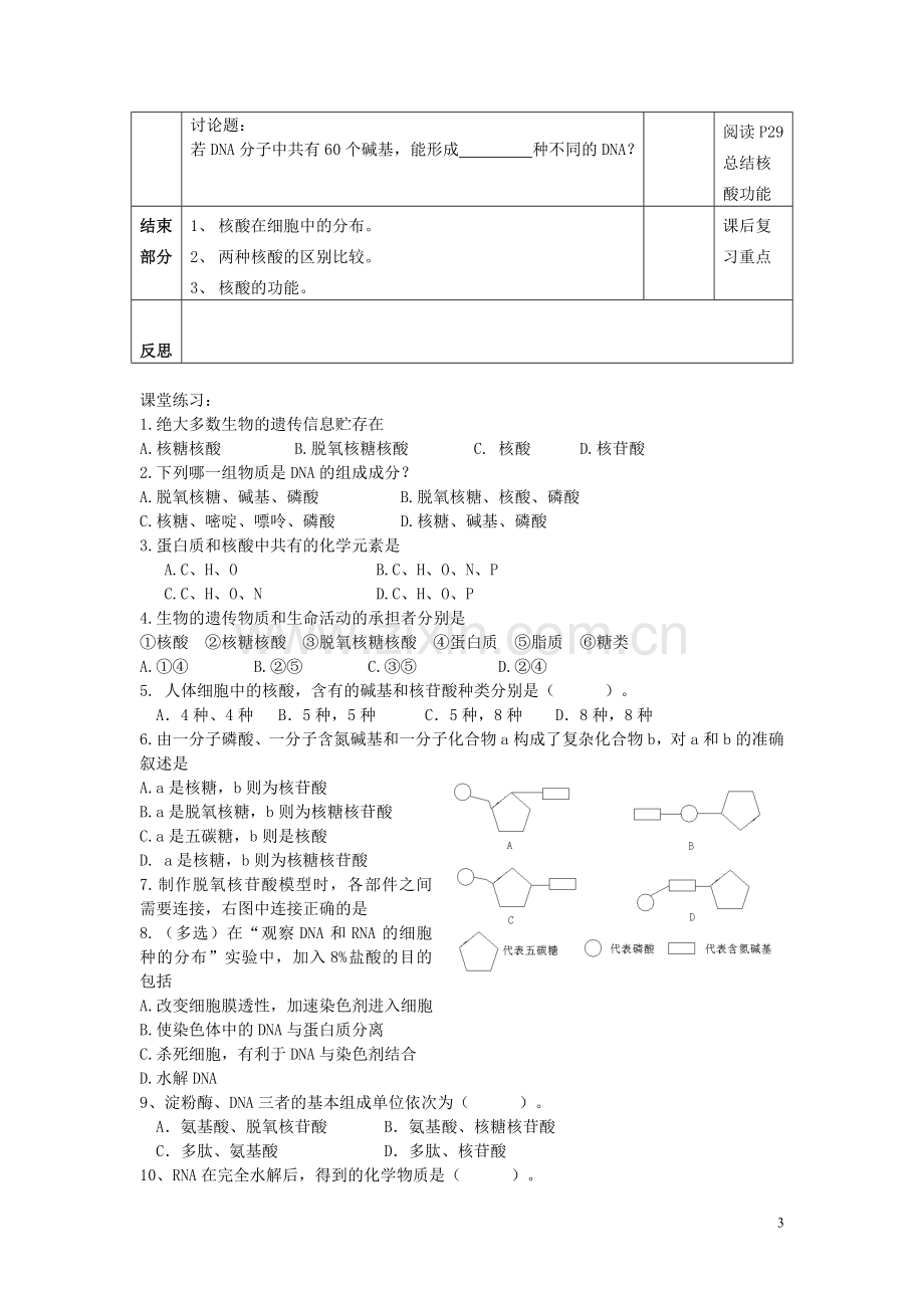 遗传信息的携带者者----核酸教学案.doc_第3页