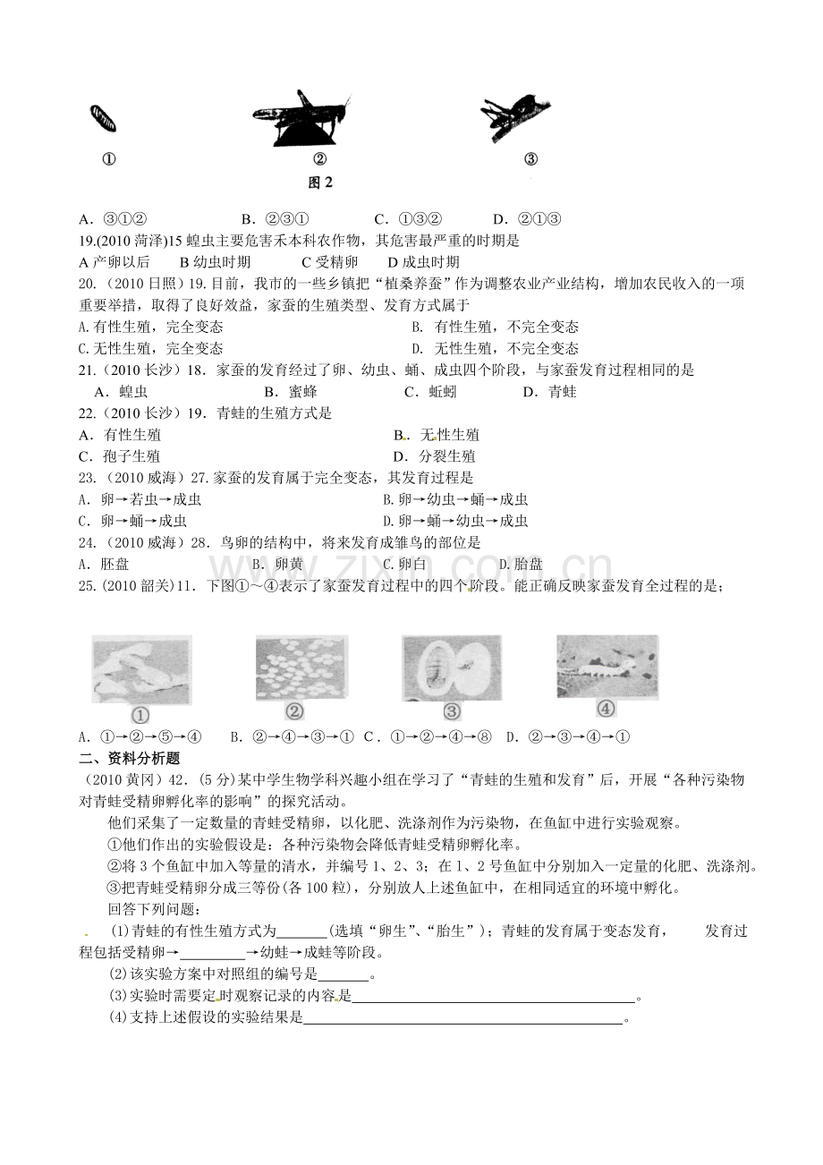 生物总复习五.doc_第3页