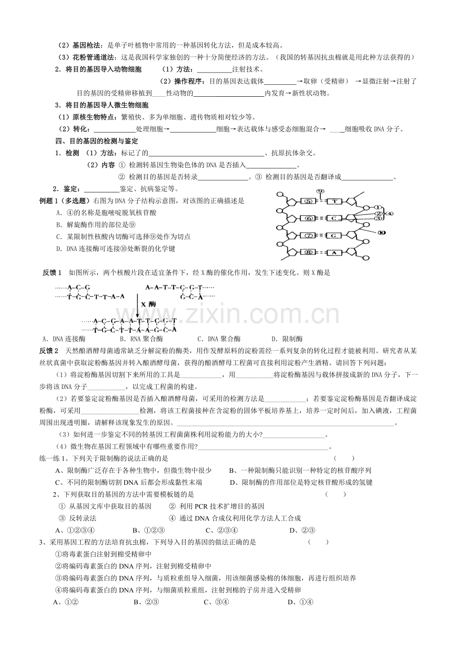 生物选修三复习导学提纲.doc_第2页