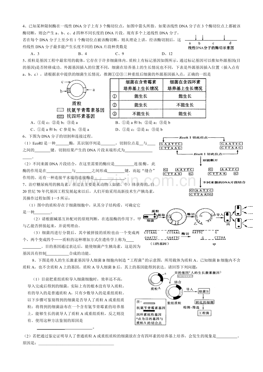 生物选修三复习导学提纲.doc_第3页