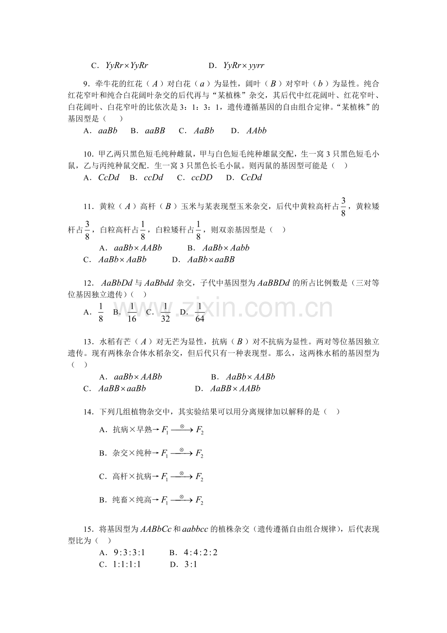 《孟德尔的豌豆杂交实验（二）》习题.doc_第2页