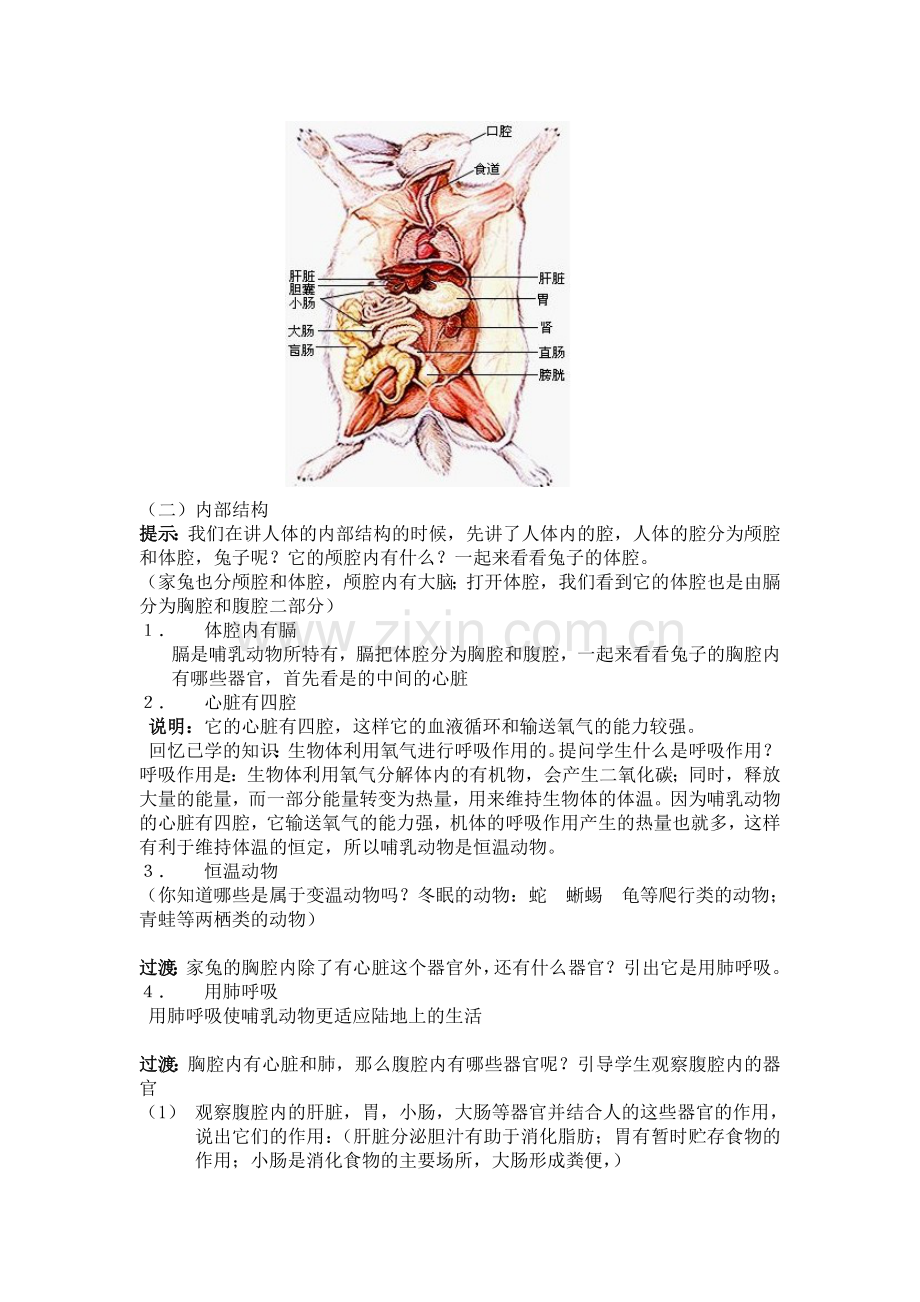 地面上的动物.doc_第2页