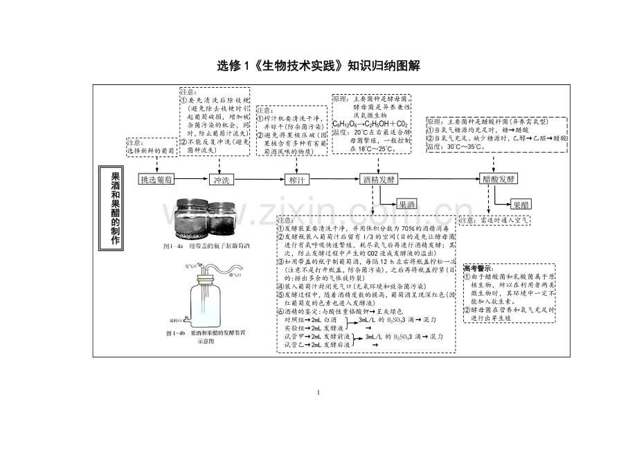 生物技术实践(生物选修一）知识复习图解.doc_第1页