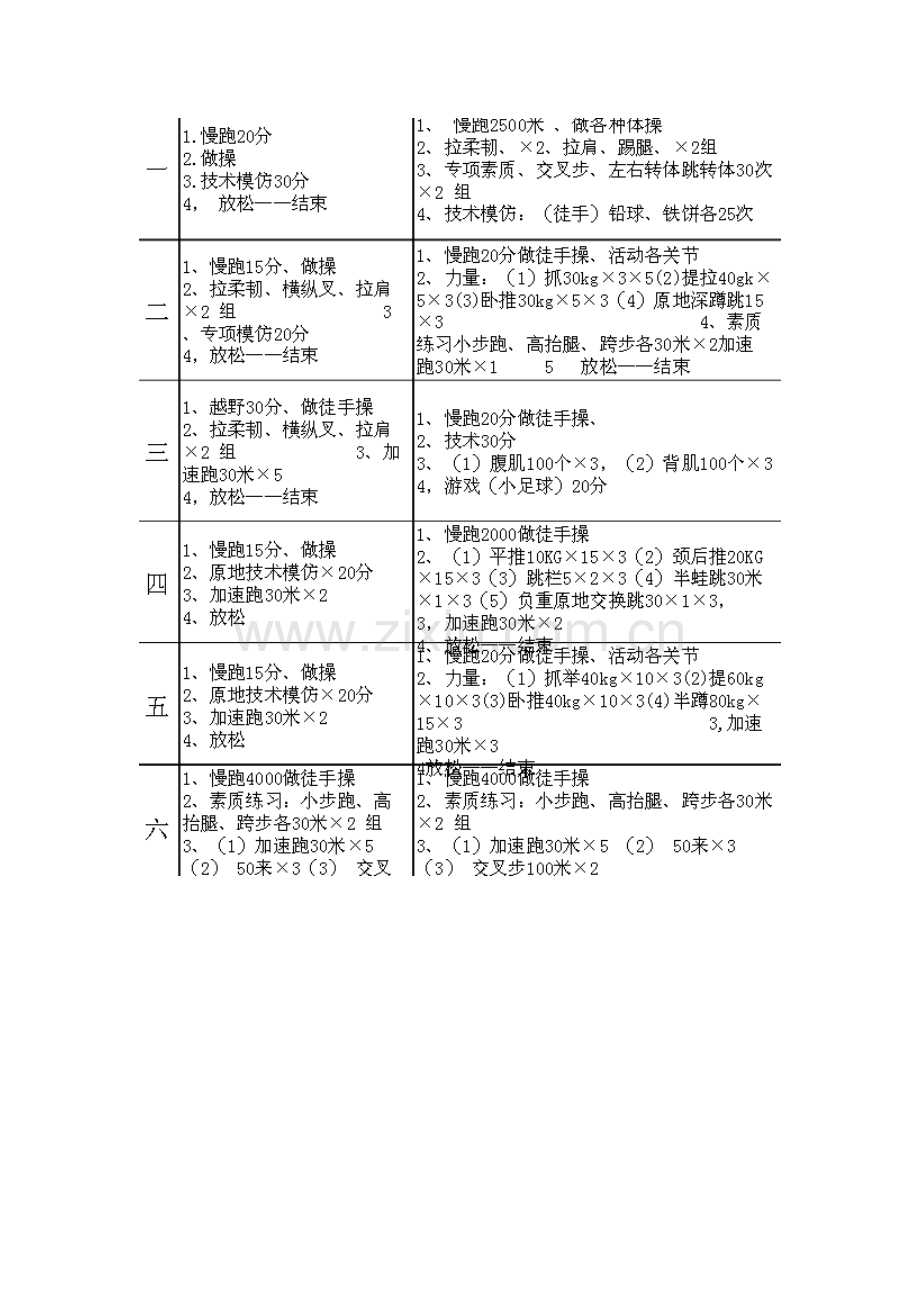 投掷组训练计划.doc_第3页