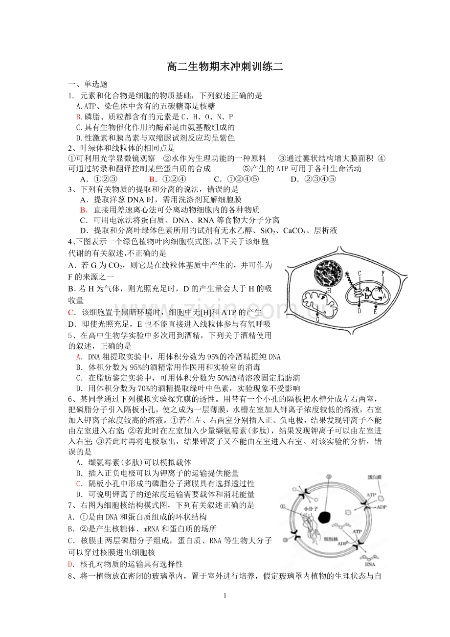 高二生物期末综合训练三.doc_第1页