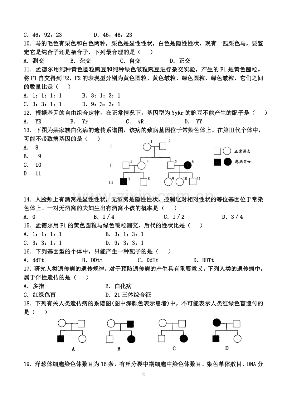 文生物高一下学期第一次月考.doc_第2页