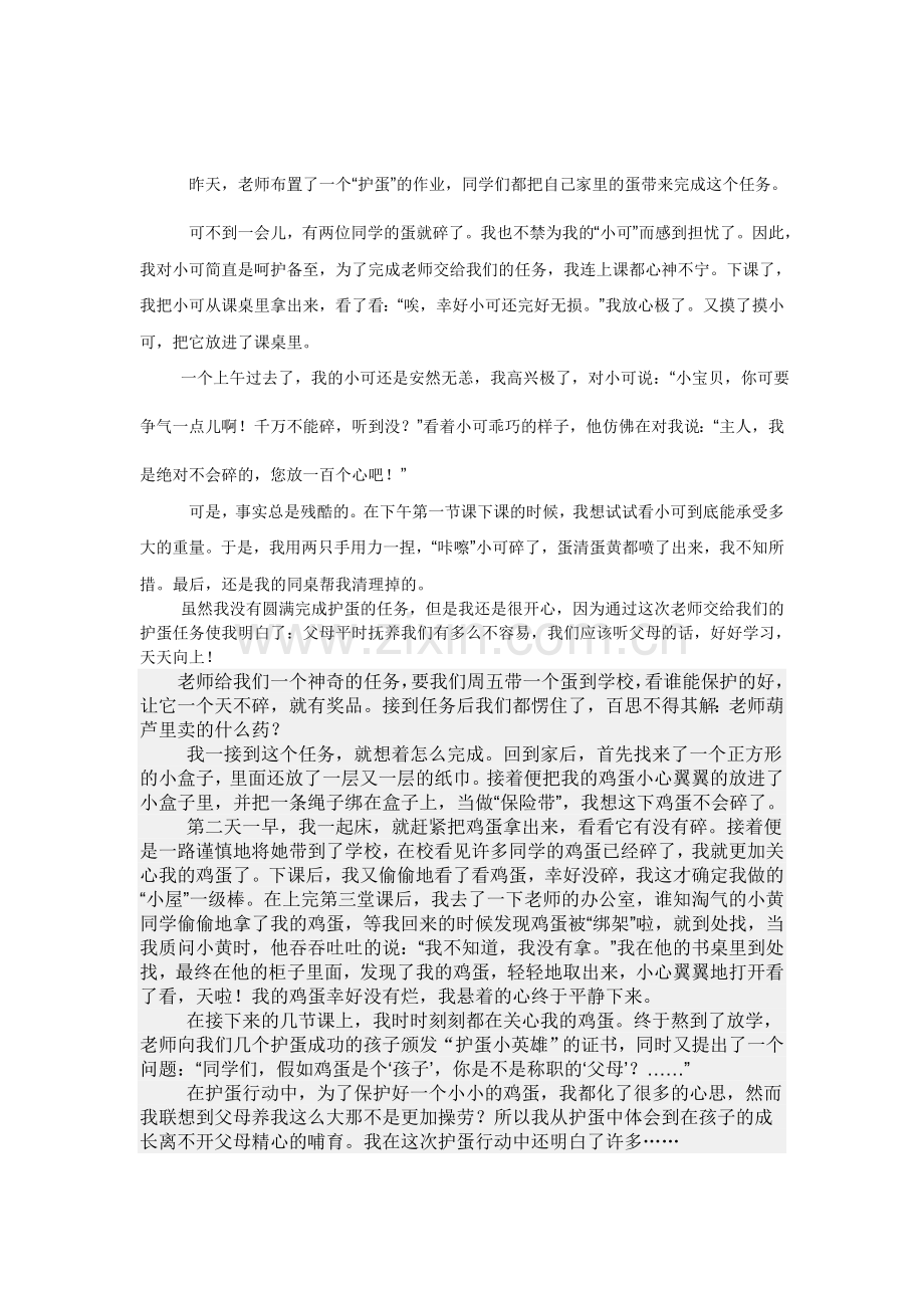 作文——护蛋的故事.doc_第3页