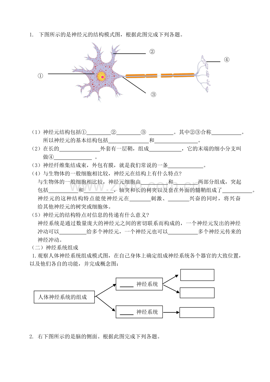 人体的神经调节导学案.doc_第2页