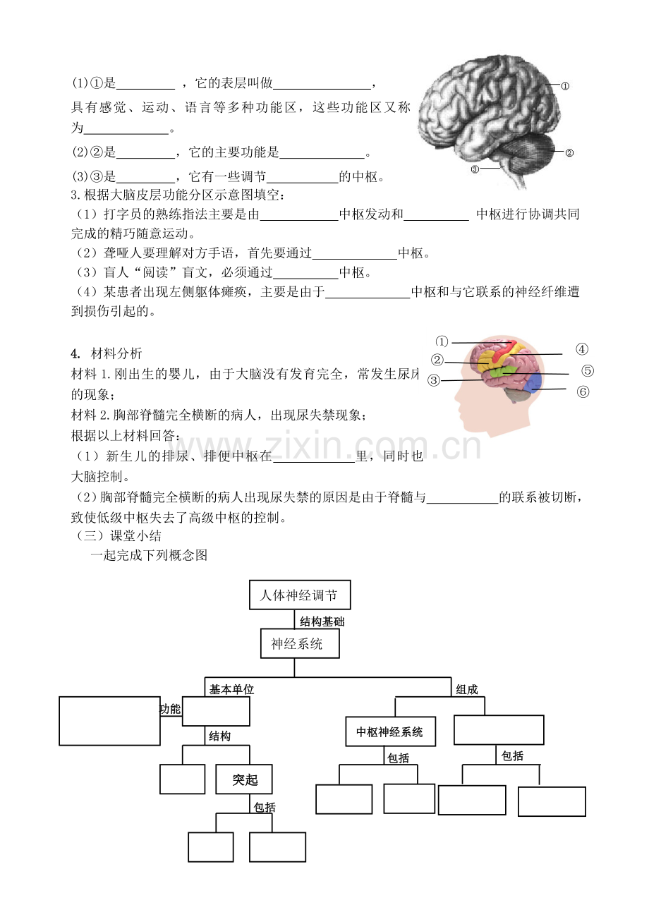 人体的神经调节导学案.doc_第3页