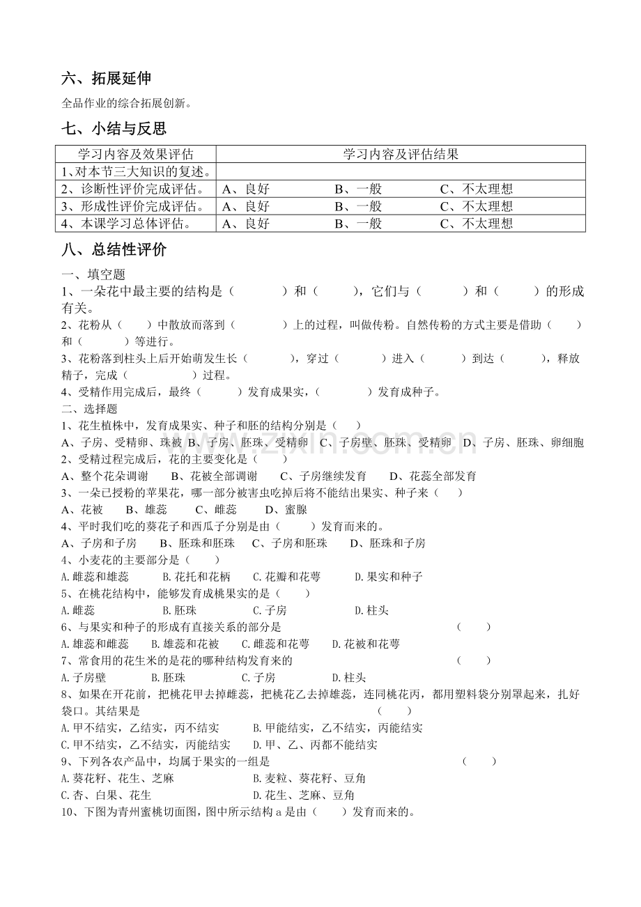 《开花和结果》教学案例.doc_第3页