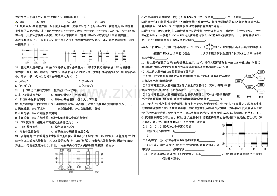 DNA分子的复制课时练.doc_第2页