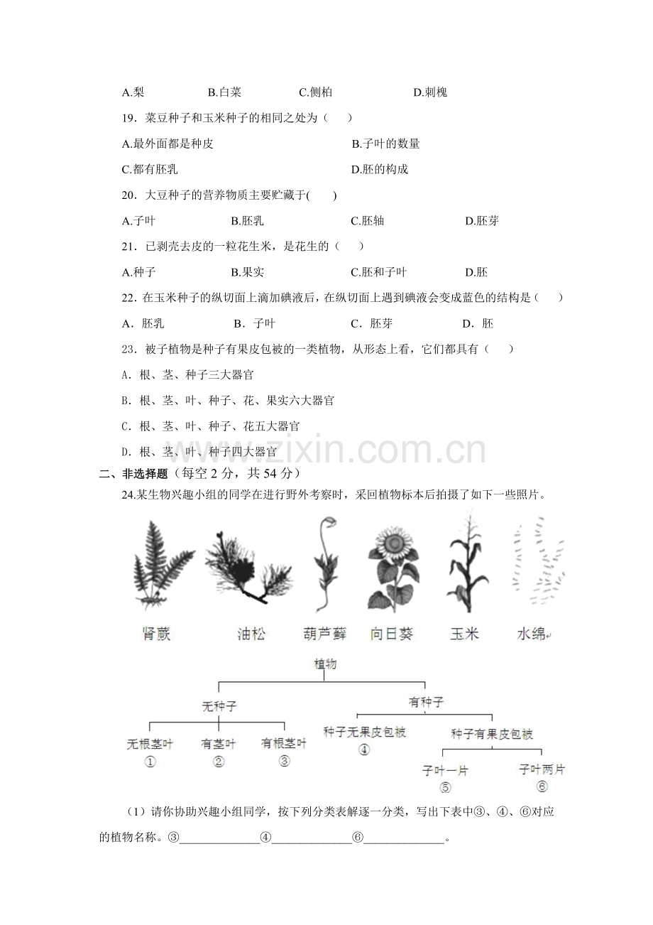 七上第二单元第一章考试.doc_第3页