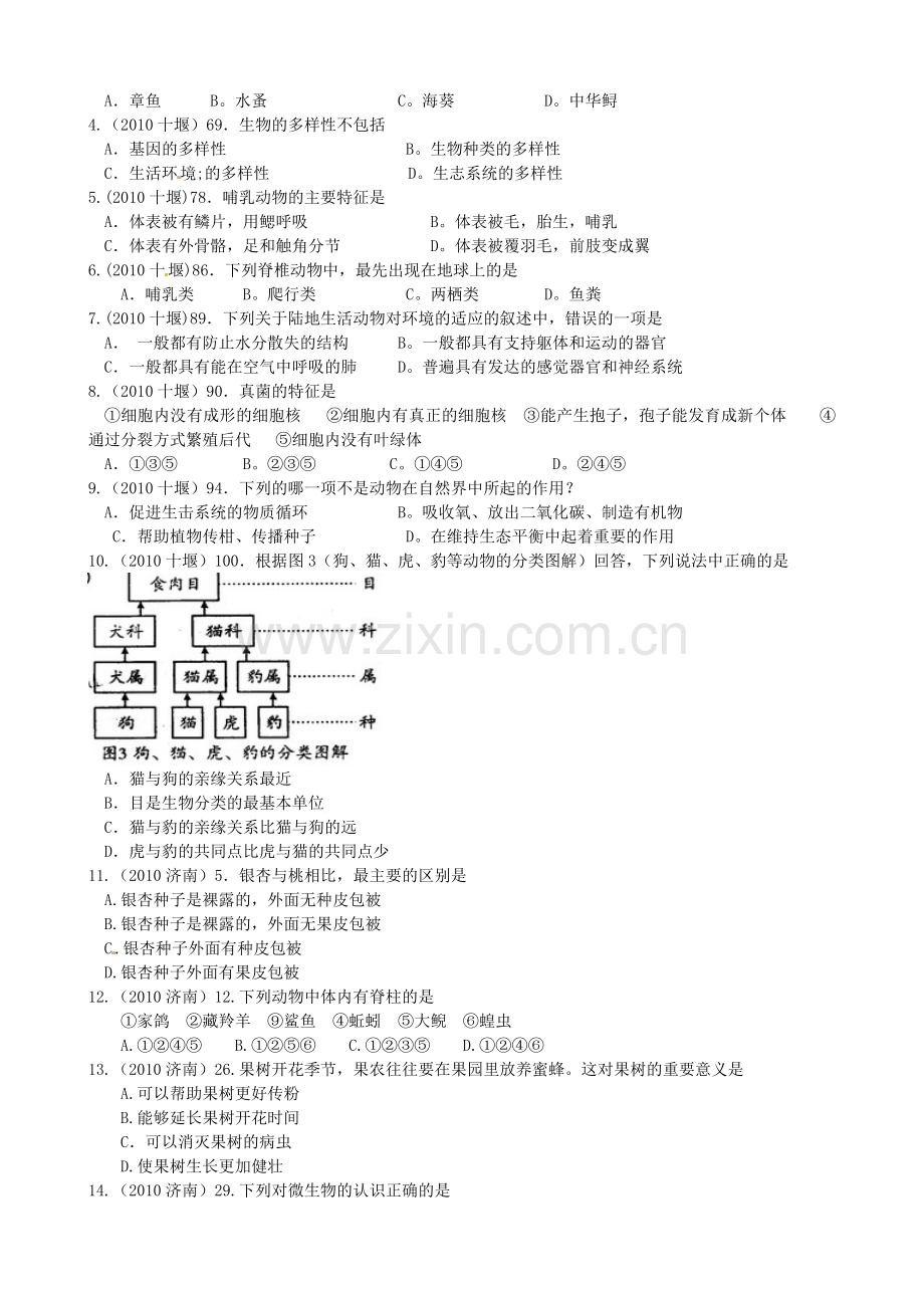 生物总复习四.doc_第3页