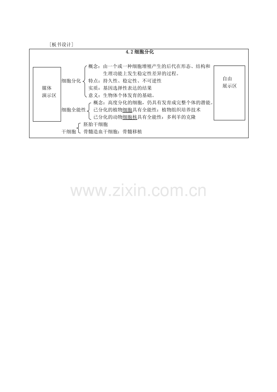 细胞的分化教学设计.doc_第3页