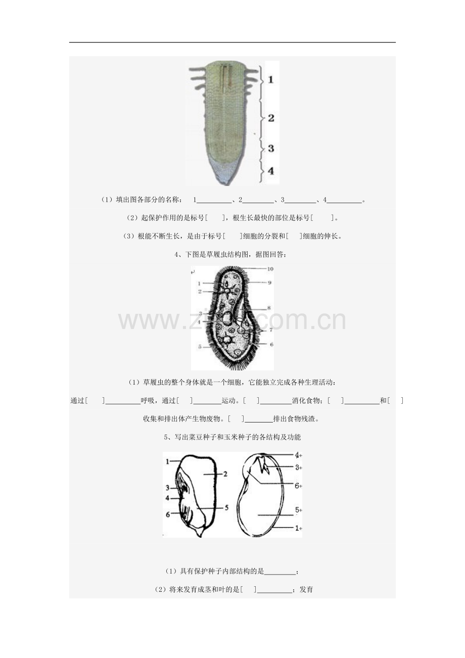 初中生物填图复习.doc_第2页