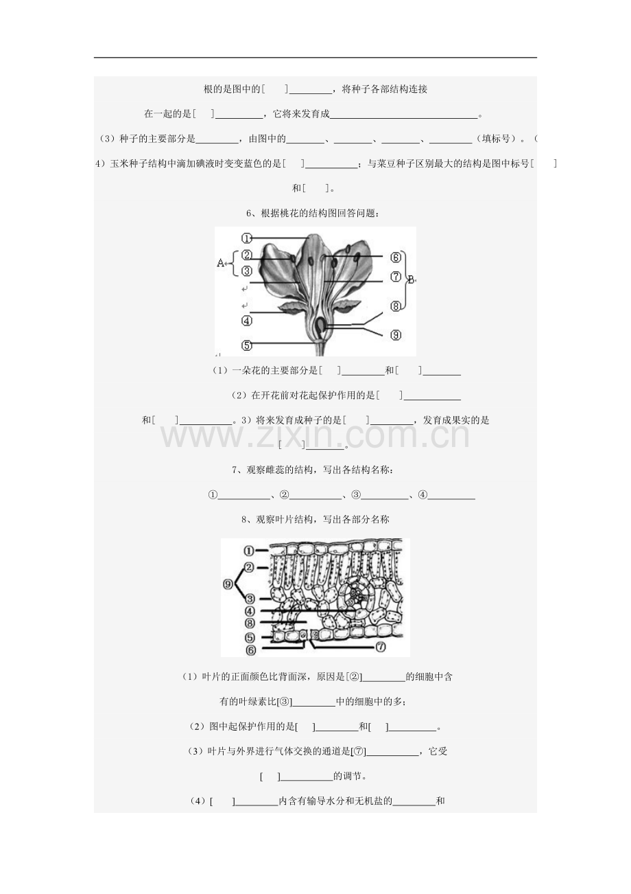 初中生物填图复习.doc_第3页