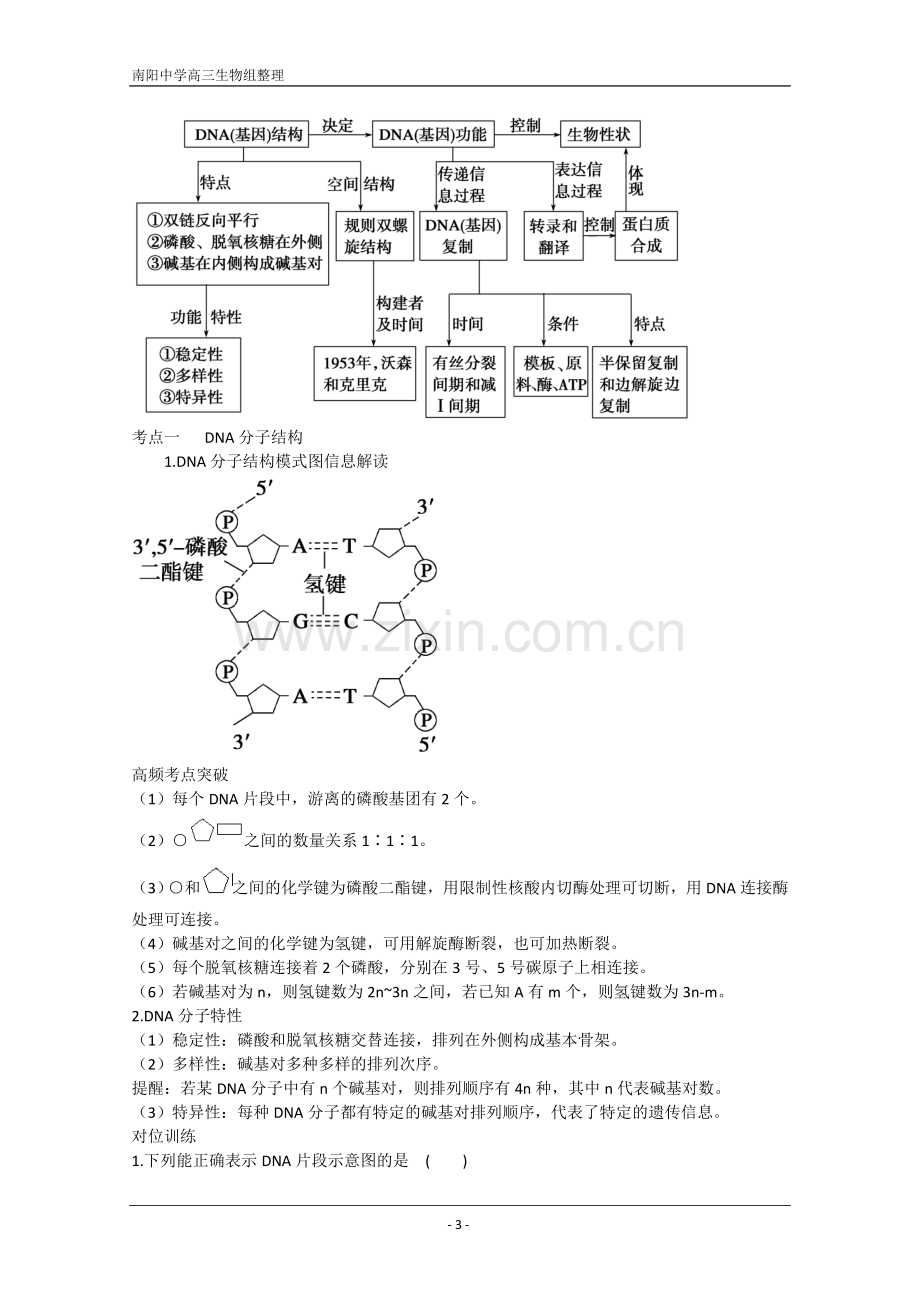 DNA分子的结构、复制及基因是有遗传效应的DNA片断(人教版必修二).doc_第3页