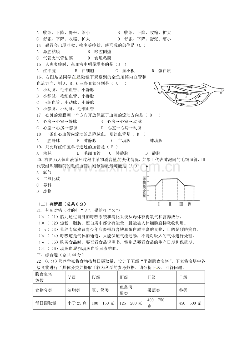 七年级生物下册导学案：阶段复习.doc_第2页