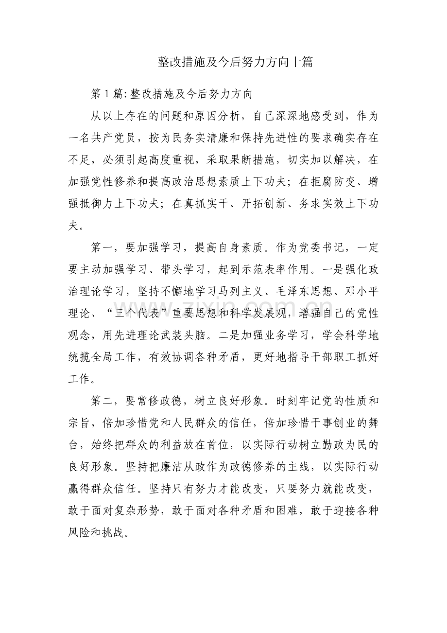 整改措施及今后努力方向十篇.pdf_第1页