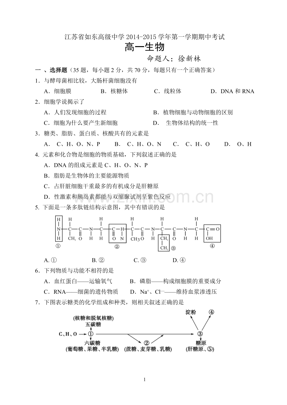 高一期中模拟试题.doc_第1页