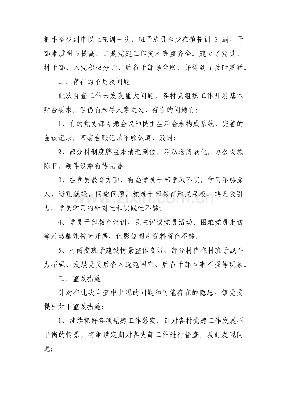 党支部自检自查报告十五篇.pdf_第3页