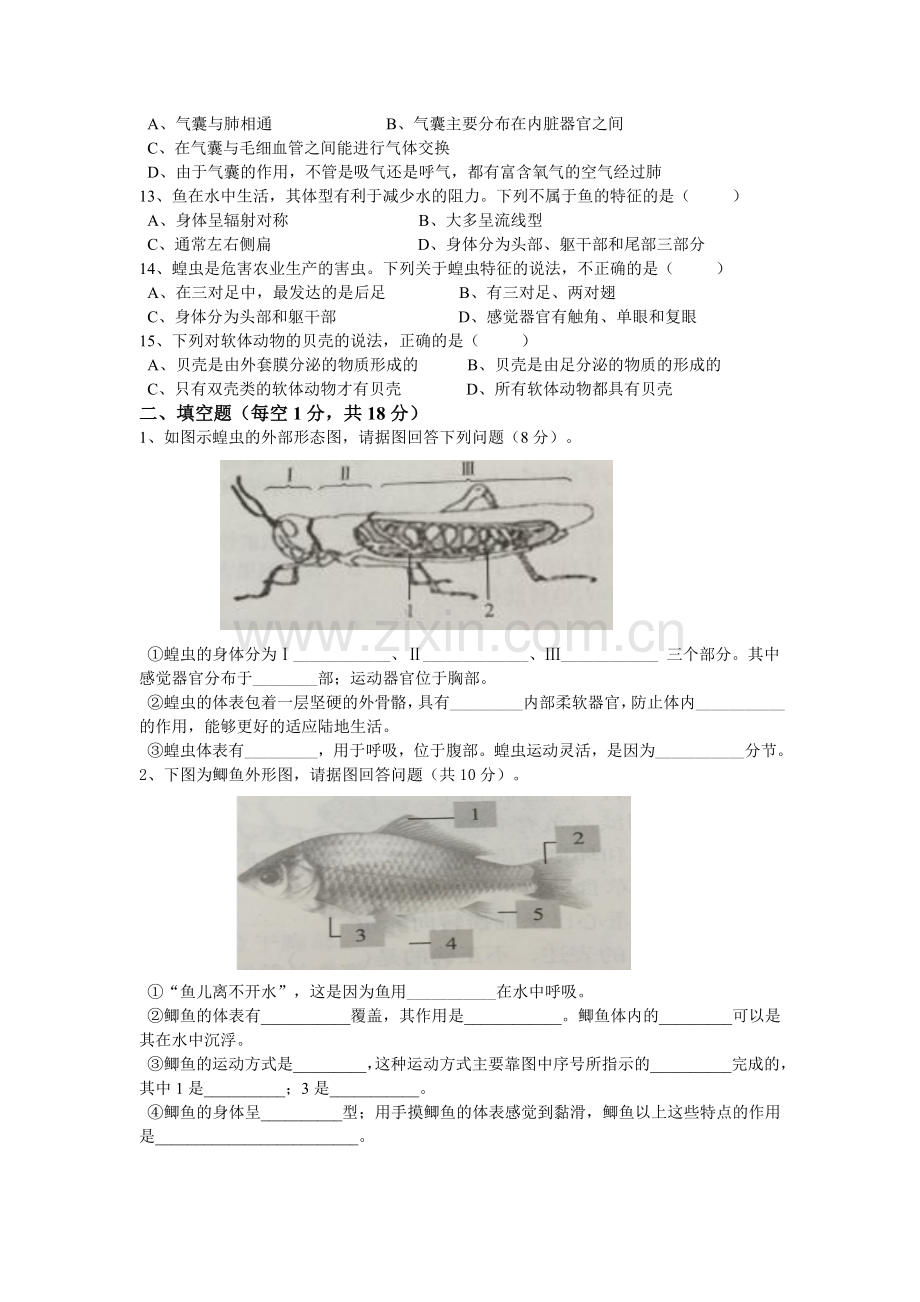 八年级生物第一次月考.doc_第2页