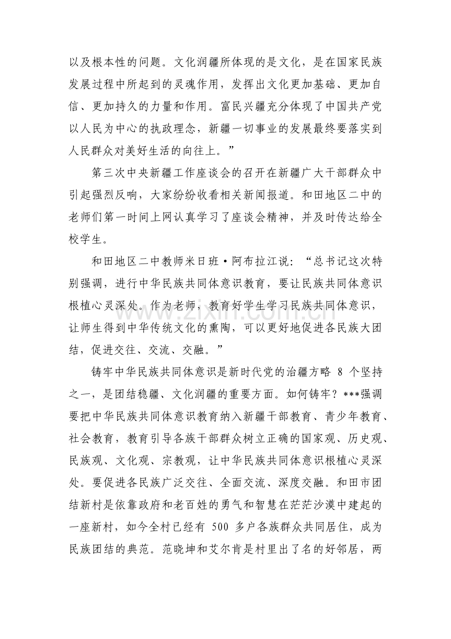 对照新时代党的治疆方略问题方面的存在问题范文(4篇).pdf_第3页