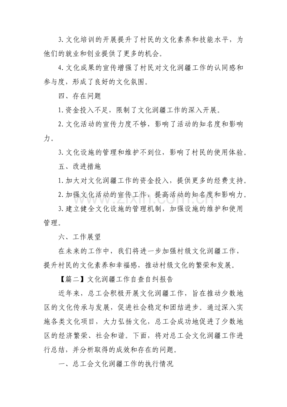 文化润疆工作自查自纠报告范文(通用3篇).pdf_第2页