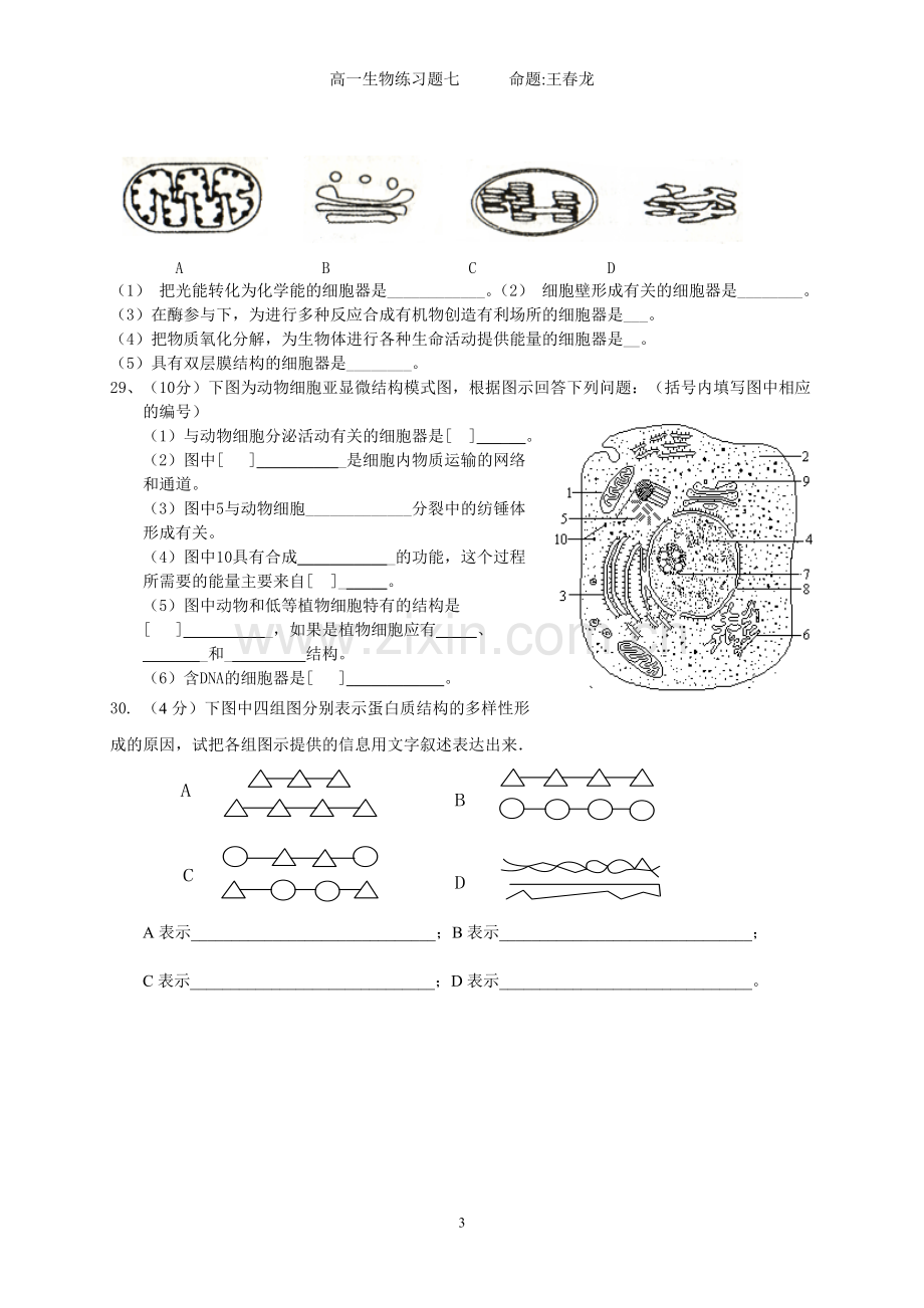 高一生物练习(主要是细胞器).doc_第3页