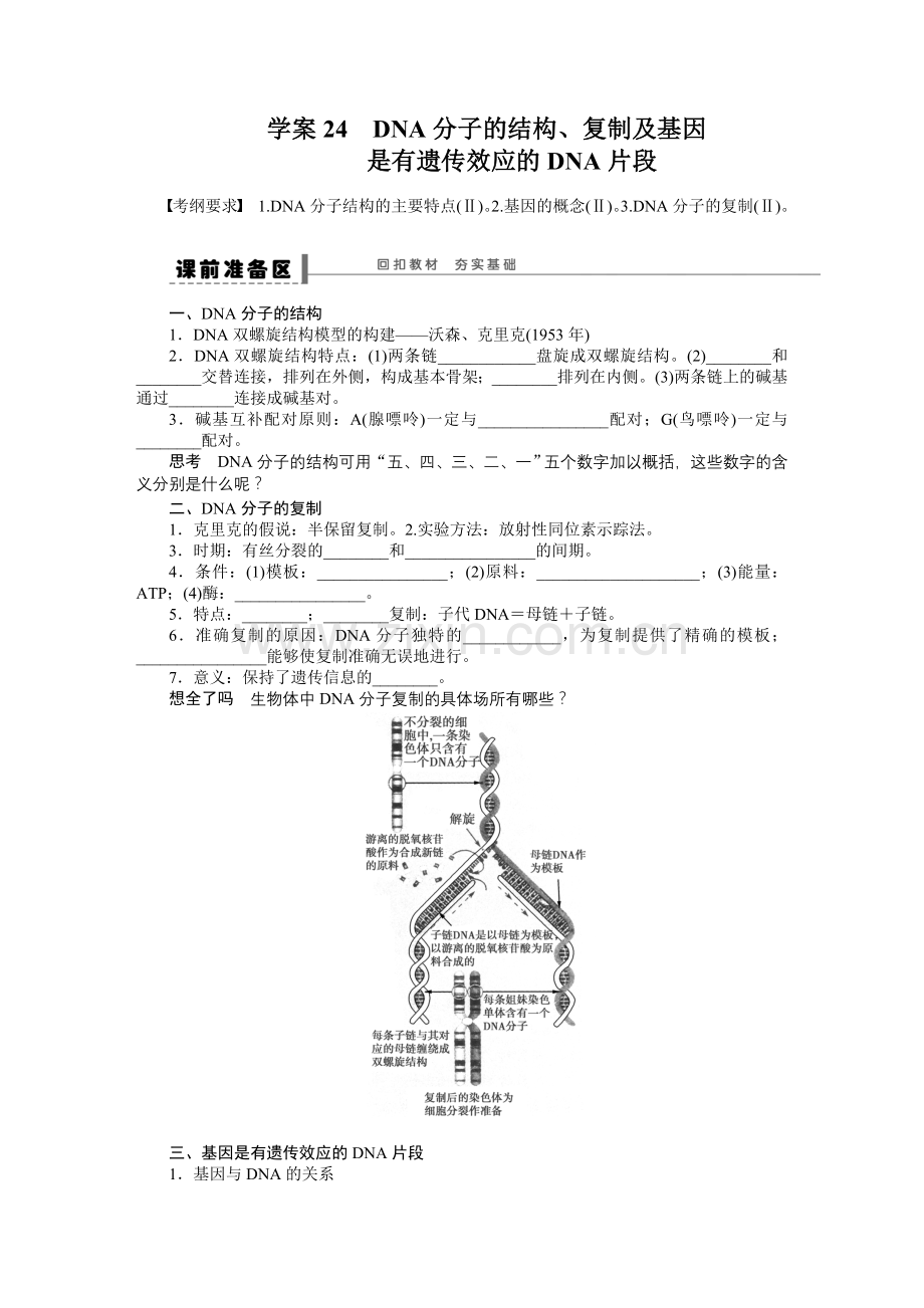 DNA分子的结构.docx_第1页