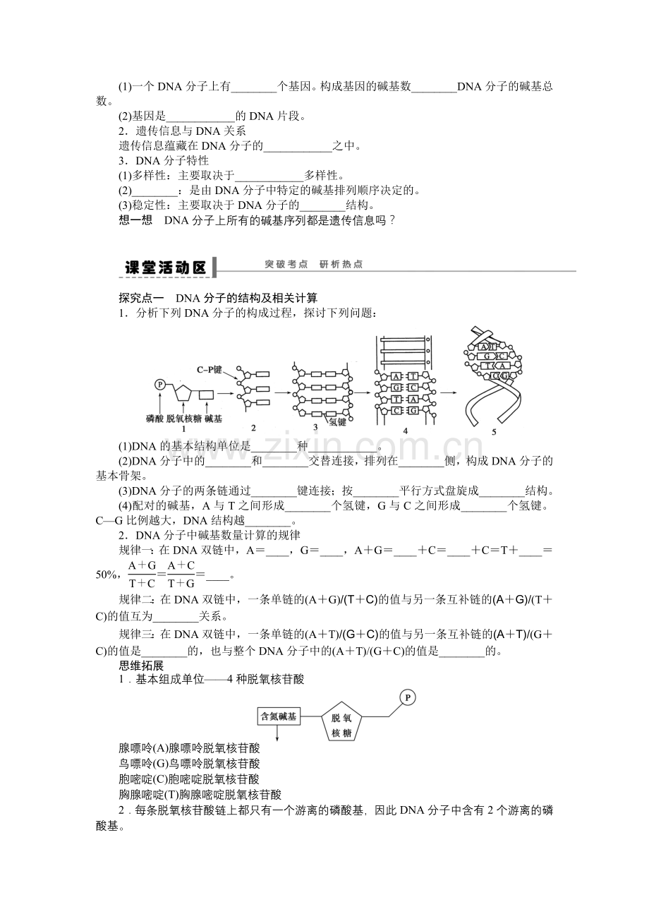 DNA分子的结构.docx_第2页